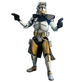 楽天市場】『スター・ウォーズ』 1/6スケールフィギュア 【ミリタリー