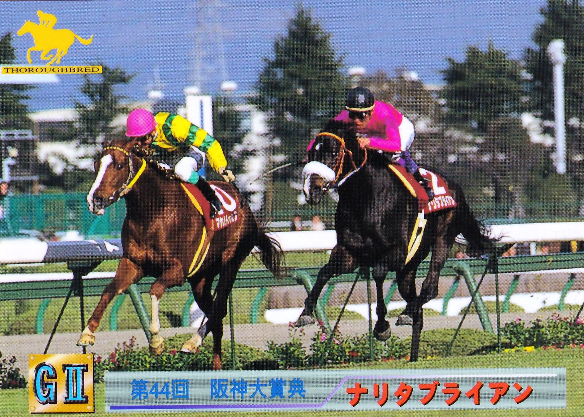 激レア】関係者のみ配布ナリタブライアン 追悼記念Tカード