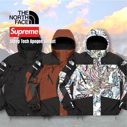 マルチカラー goro's(ゴローズ) Supreme(シュプリーム) マウンテン