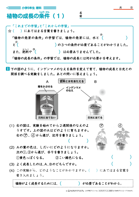 小学5年生 理科 学習問題プリント｜ちびむすドリル【小学生】