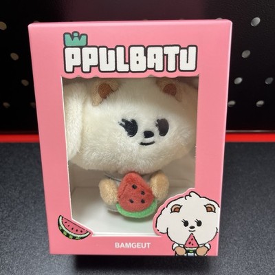 TXT PPULBATU BAMGEUT バムグッ 初期キーリング ぬいぐるみ TOMORROW X