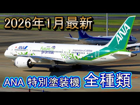 ANA】全日空の特別塗装機を全種類紹介！ - YouTube
