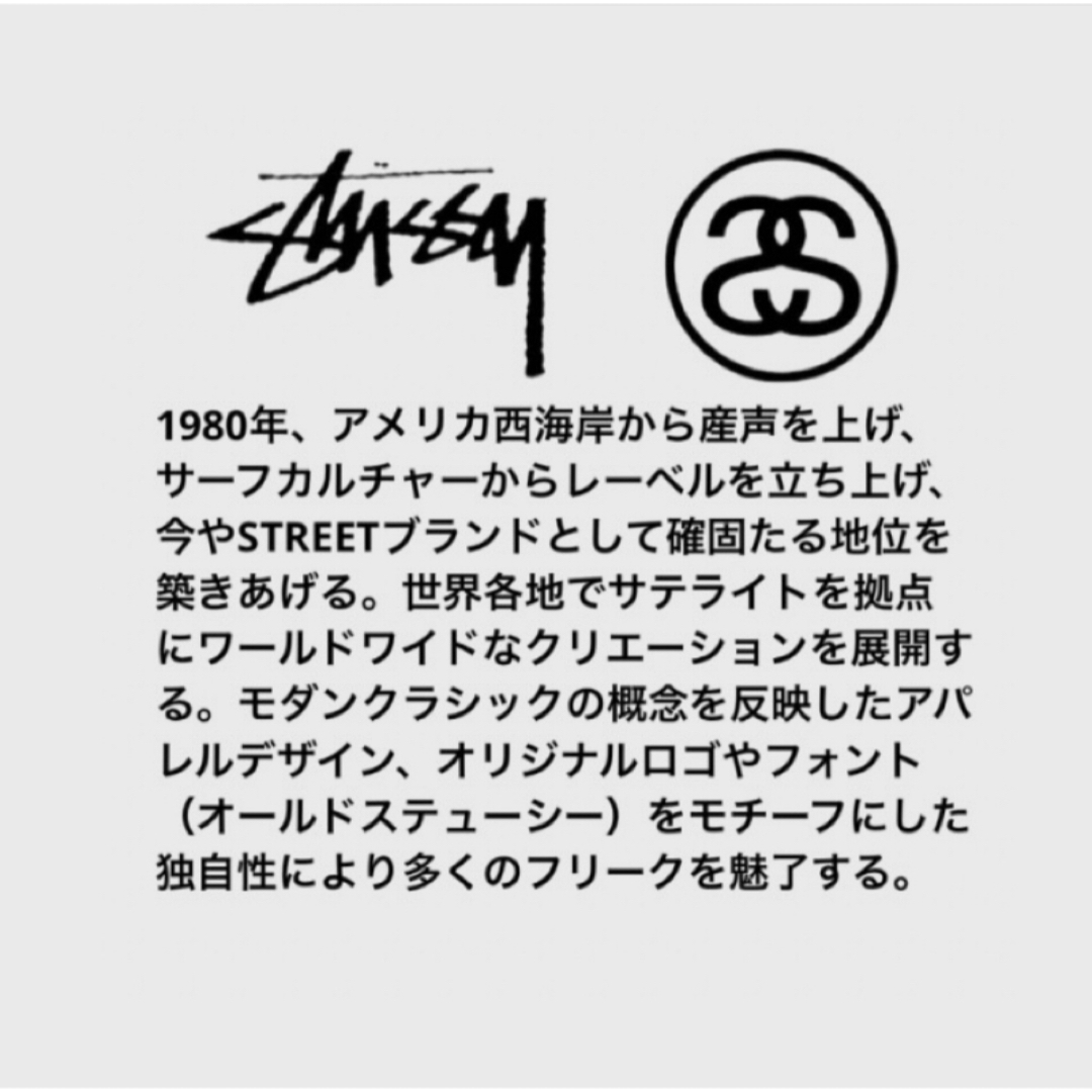 STUSSY - STUSSYステューシー クラウン ネックレス 純正チェーンと925