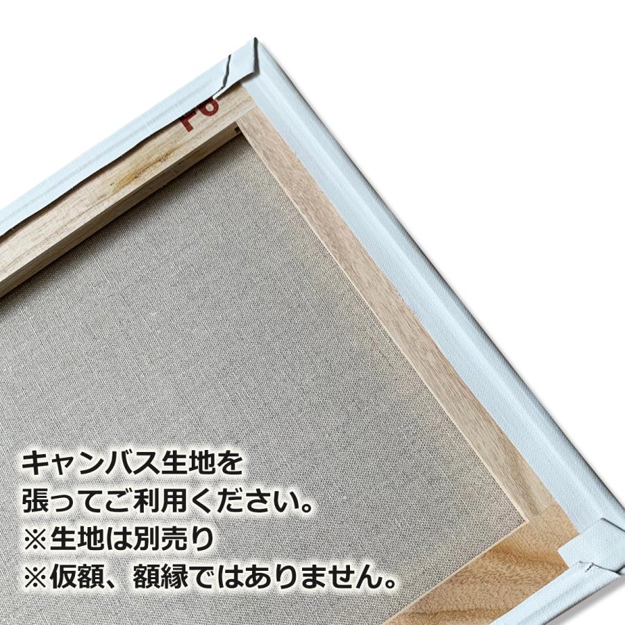 キャンバス用 木枠 F50号 116.7×91.0cm 桐材 クレサンジャパン 未組立