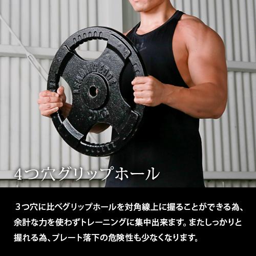 LEADING EDGE（リーディングエッジ） ヘビープレート 15kg 28mm径
