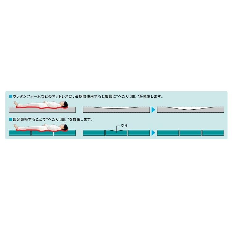 molten（モルテン） テルサ 体圧分散 防水・清拭消毒タイプ 撥水加工