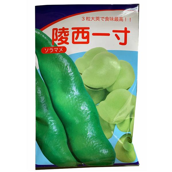 野菜の種/種子 陵西一寸蚕豆・そら豆 1L (大袋) : ベジタブルガーデン