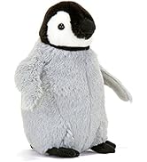 Amazon.co.jp: カロラータ エンペラーペンギン ぬいぐるみ (子供