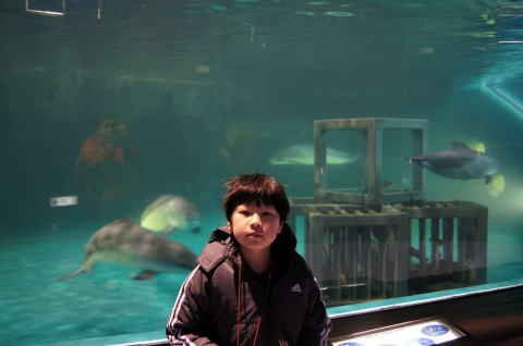 茶平工業 記念メダルコレクション 北海道 おたる水族館