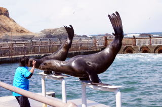 茶平工業 記念メダルコレクション 北海道 おたる水族館