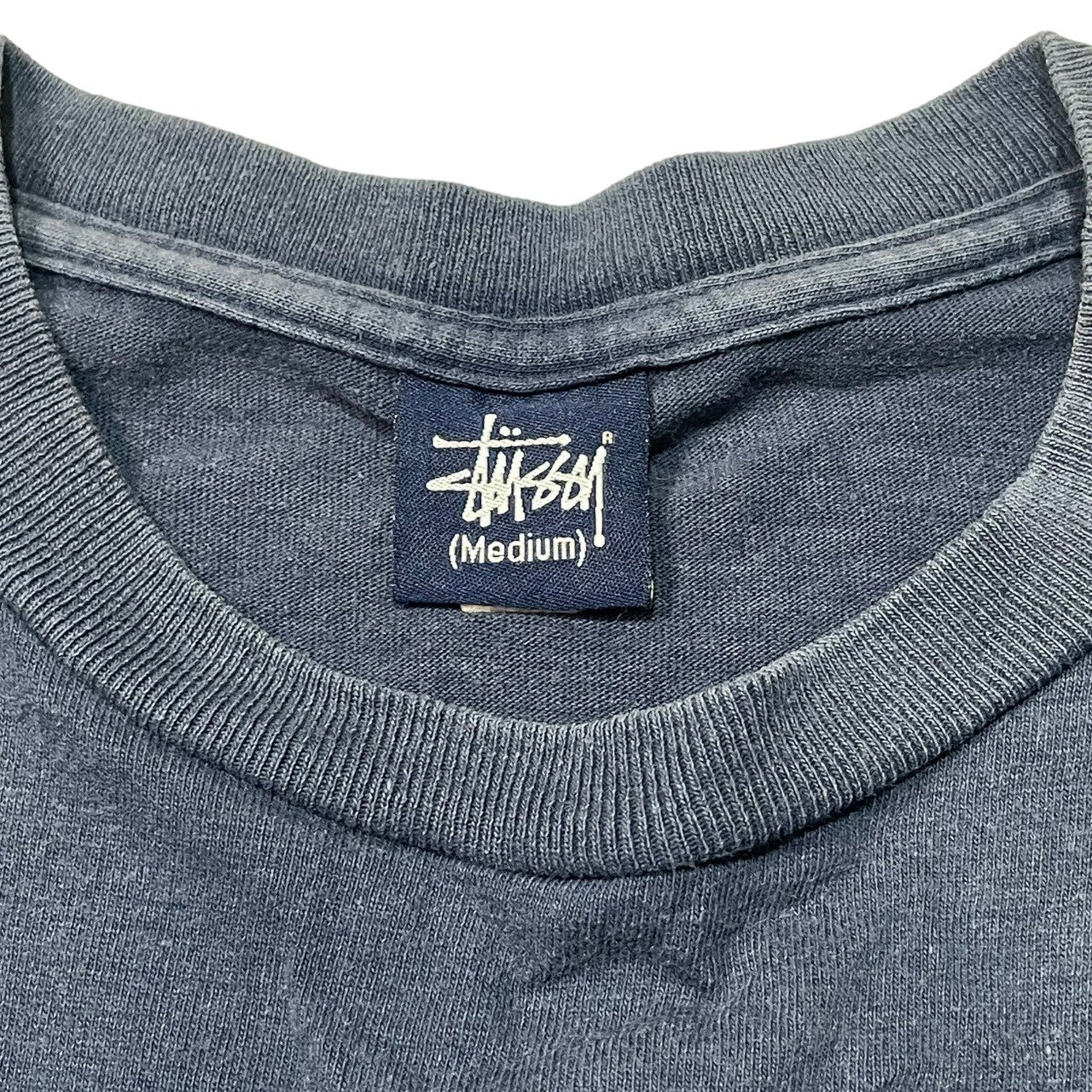 STUSSY(ステューシー) 90's~00's crown and lion 王冠 ライオン T