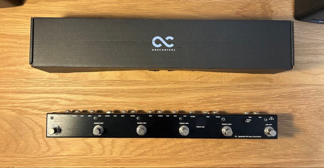 ギター One control Agamidae tail loop