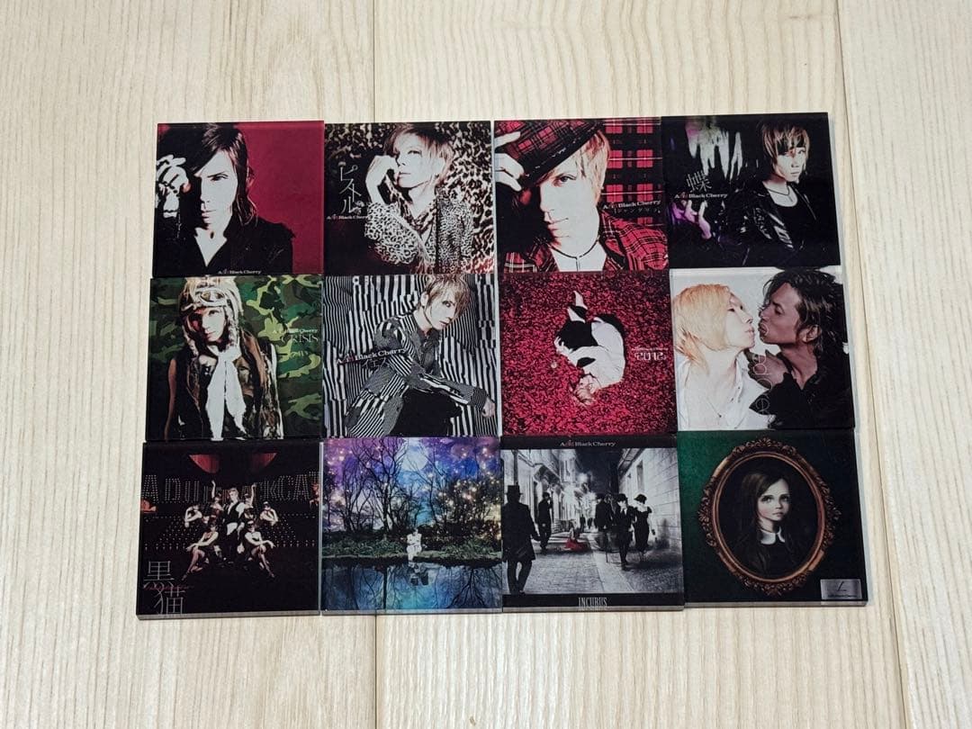 AcidBlackCherry アクリルマグネット