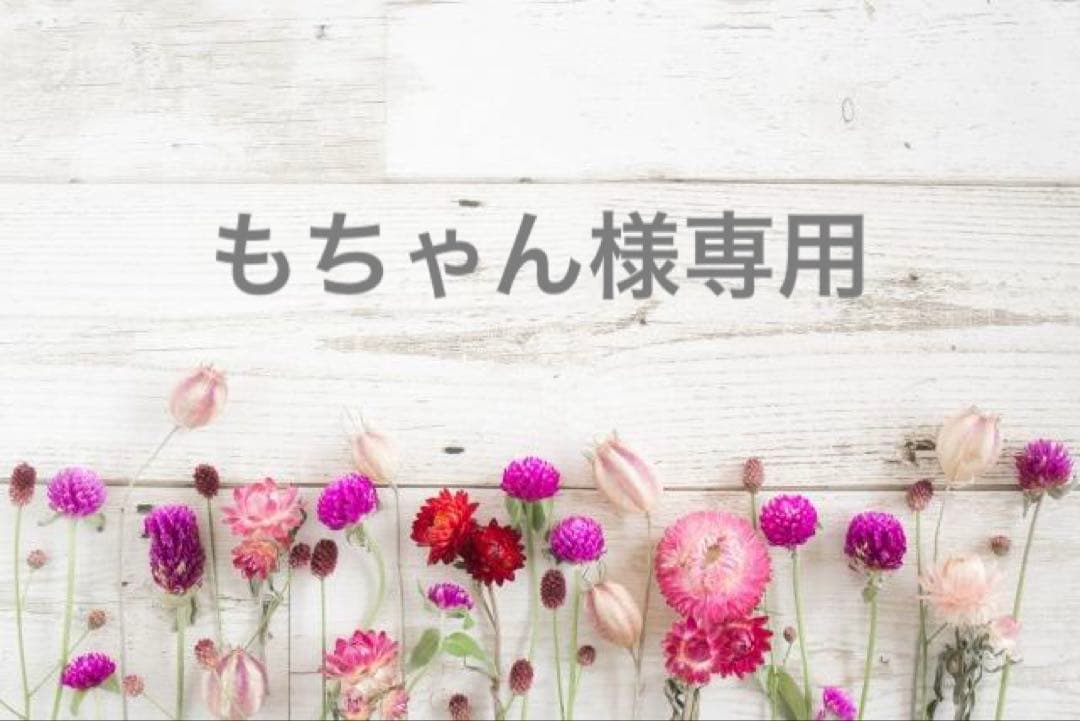 もちゃん