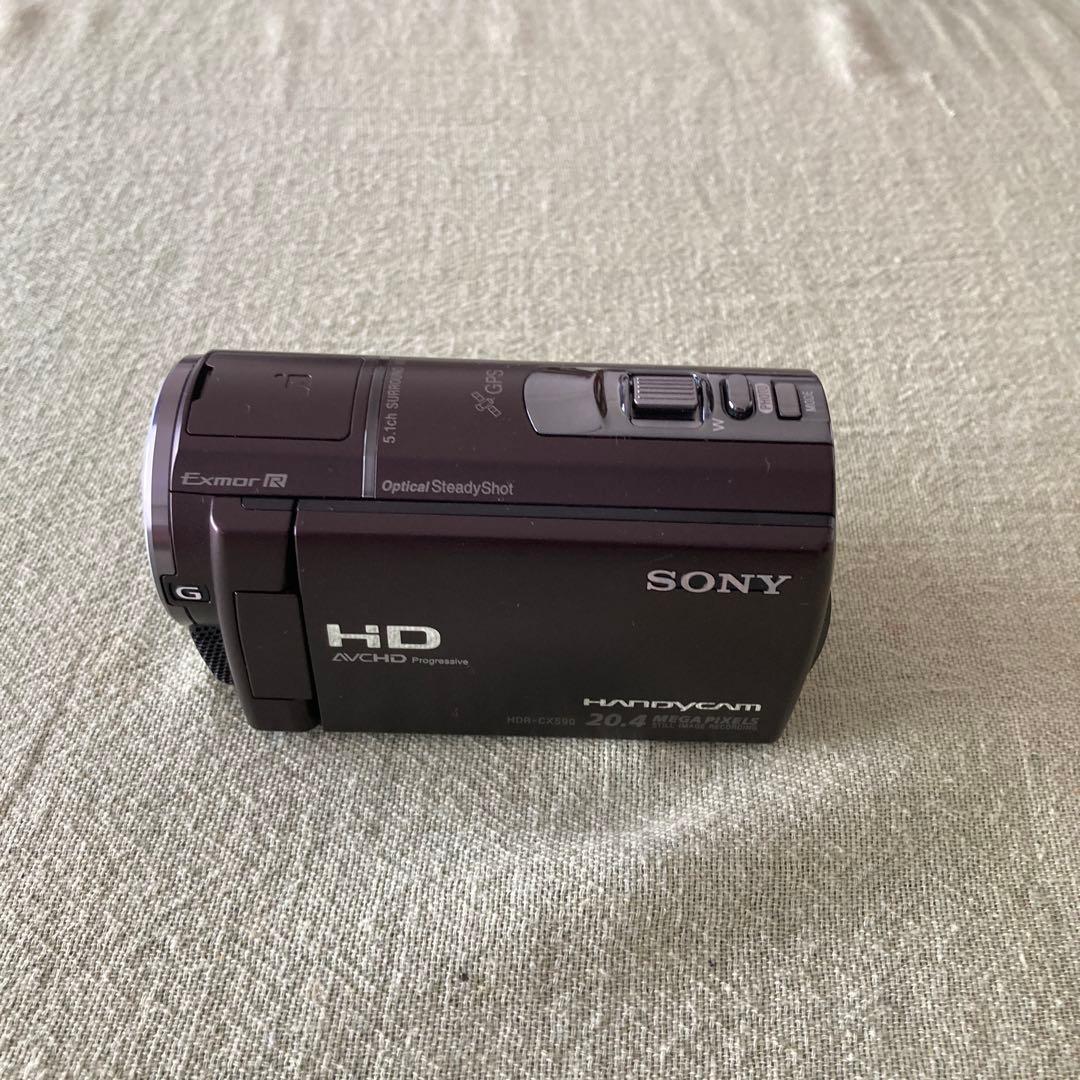 r*9様 HDR-CX590