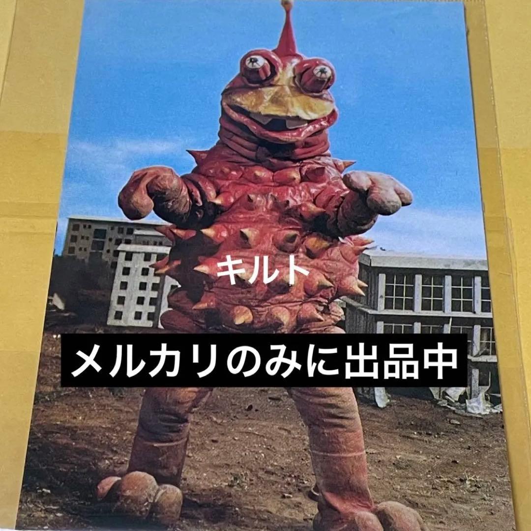 わんぱく怪獣 タイショー ステータスカード ウルトラマンレオ ウルトラマンレオ わんぱく怪獣タイショー ガレージキット完成品