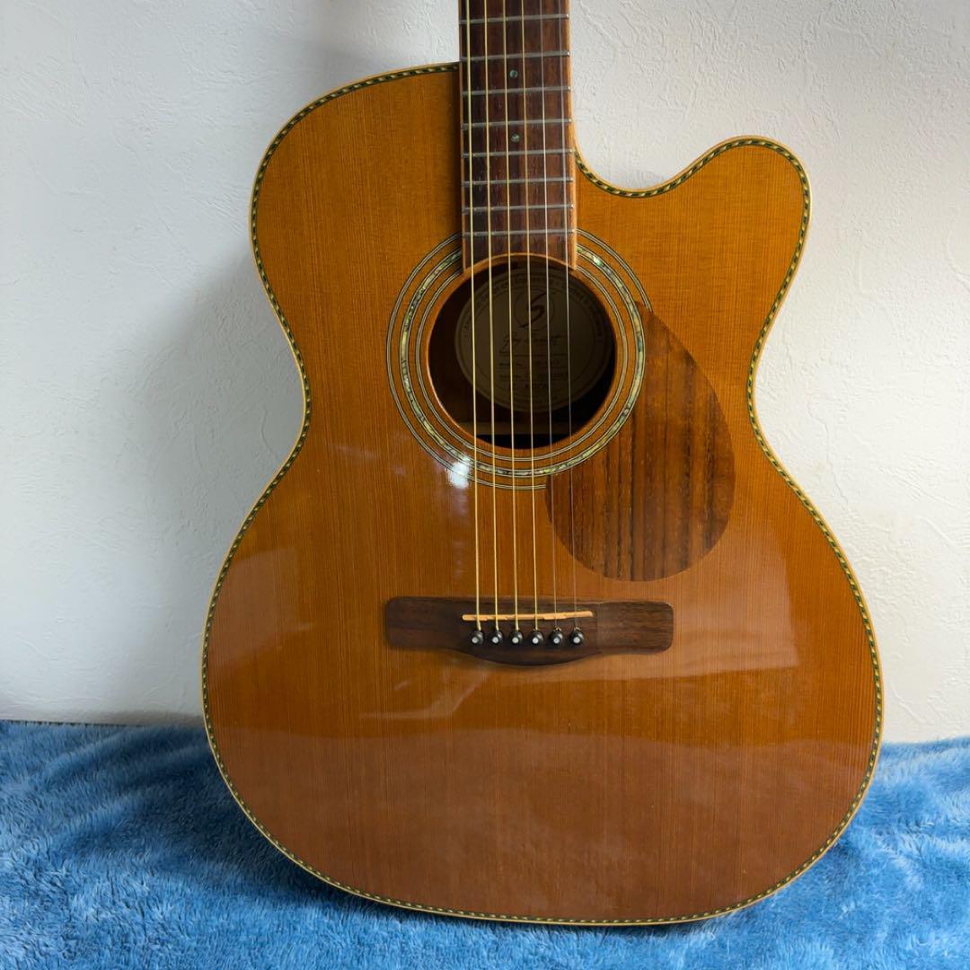ギター sabersSamick Greg Bennett OM-15CE