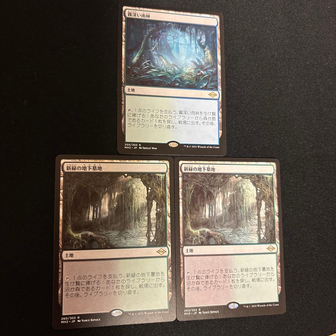 MTG 新緑の地下墓地　霧深い雨林 MTG 新緑の地下墓地 霧深い雨林 003)《新緑の地下墓地/Verdant