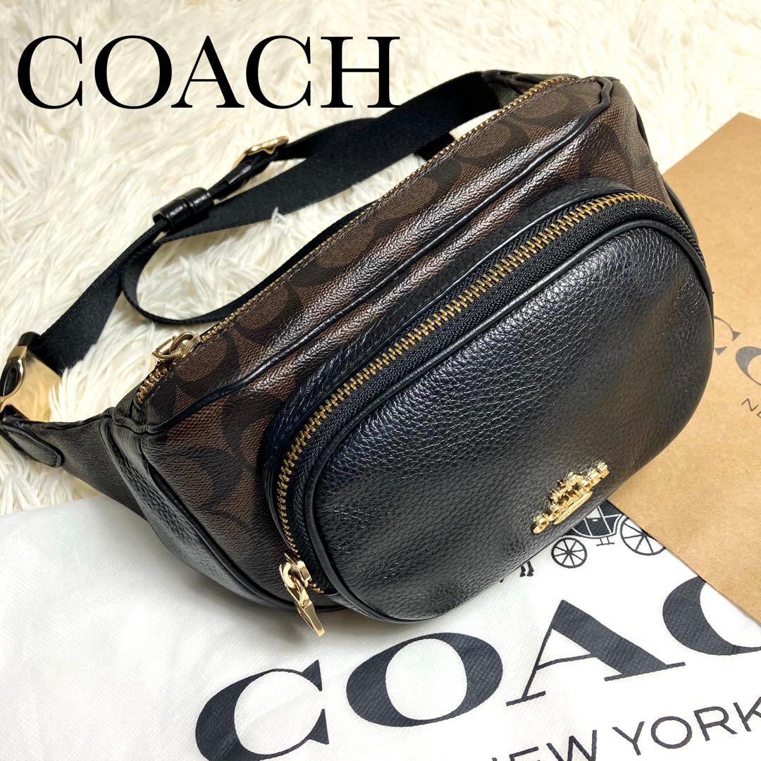 COACH＊ ウエストバッグ レザー シグネチャーブラウン 中古・古着通販】COACH (コーチ) シグネチャーレザーウエストバッグ